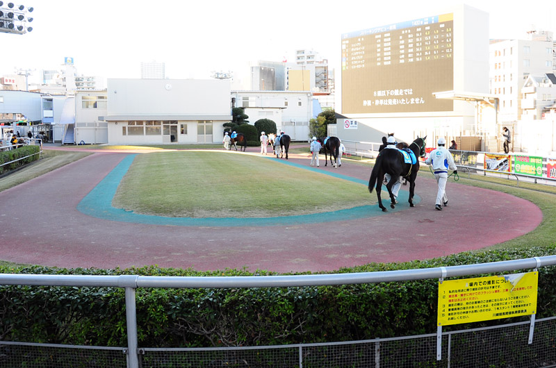 ぶら散歩 川崎競馬場