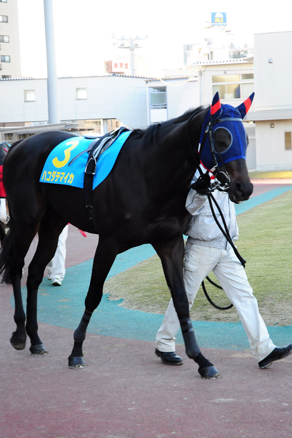 ぶら散歩 川崎競馬場