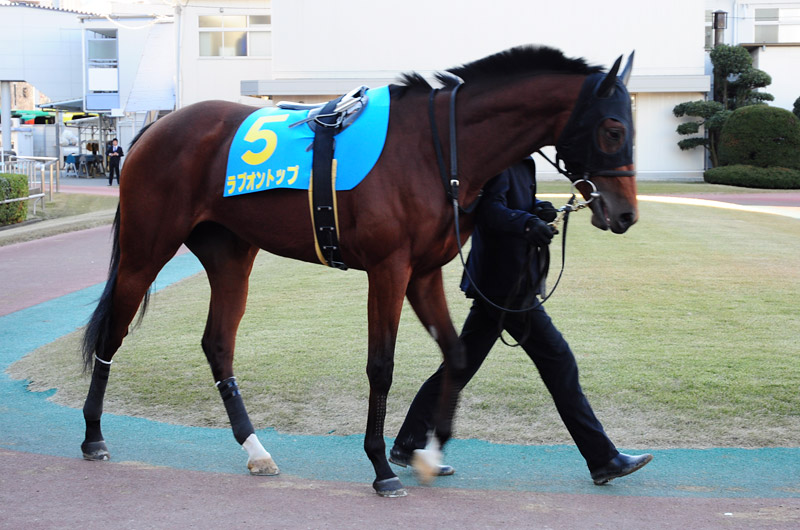 ぶら散歩 川崎競馬場