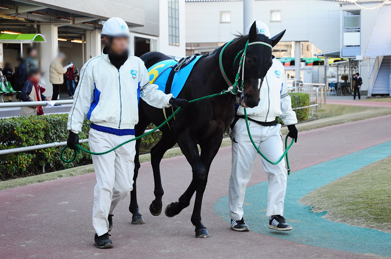 ぶら散歩 川崎競馬場