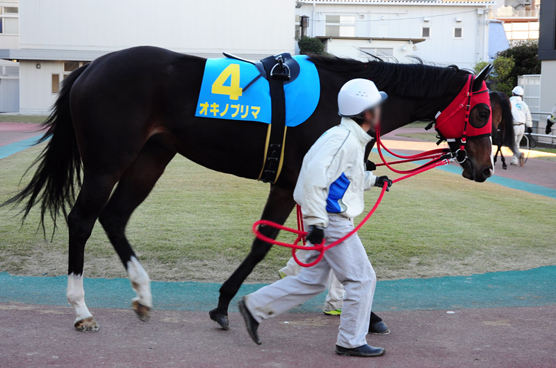 ぶら散歩 川崎競馬場