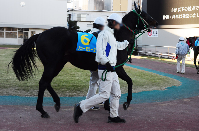 ぶら散歩 川崎競馬場