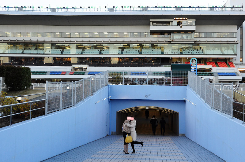 ぶら散歩 川崎競馬場