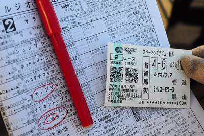ぶら散歩 川崎競馬場