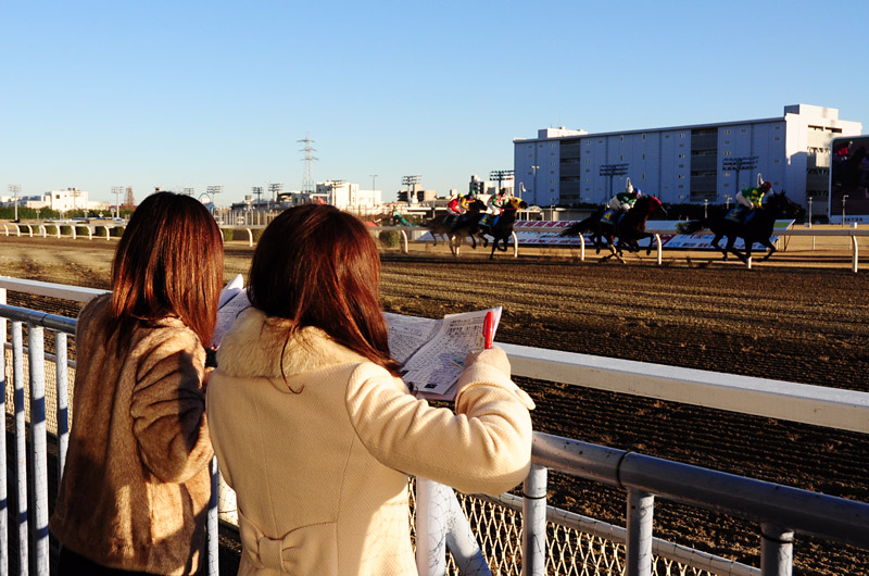 ぶら散歩 川崎競馬場