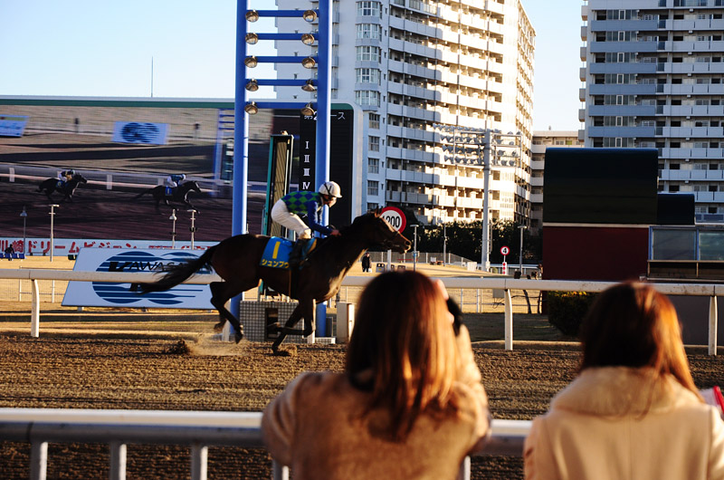 ぶら散歩 川崎競馬場
