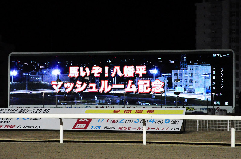 ぶら散歩 川崎競馬場3