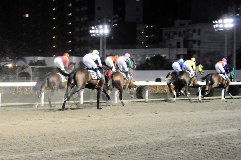 ぶら散歩 川崎競馬場3