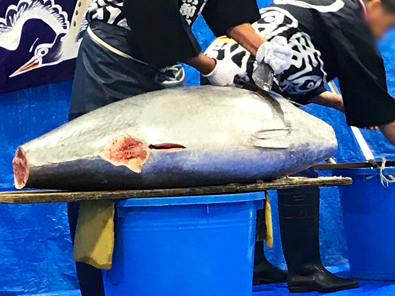 川崎幸市場 食鮮まつり
