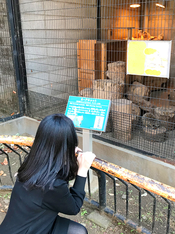 川崎 素敵な奥様
