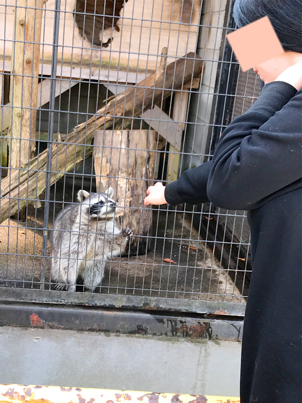 川崎 素敵な奥様