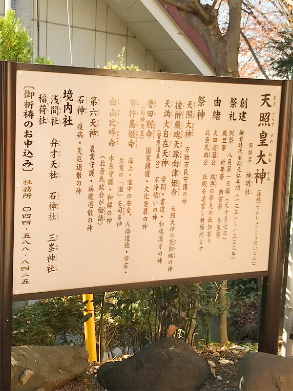 川崎 素敵な奥様
