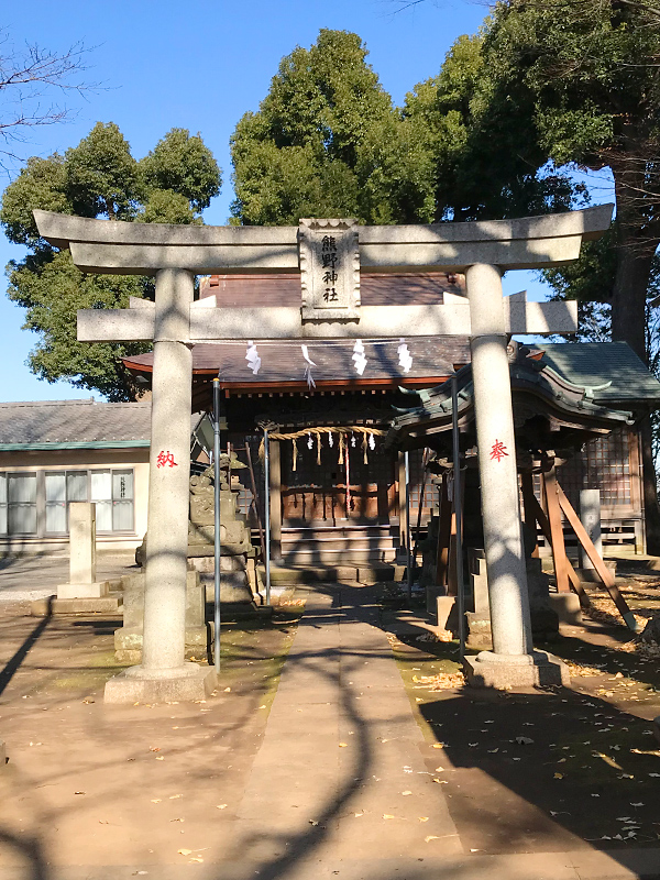 川崎 素敵な奥様