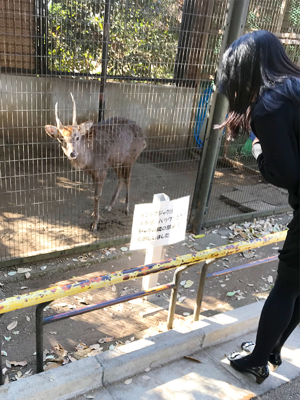川崎 素敵な奥様