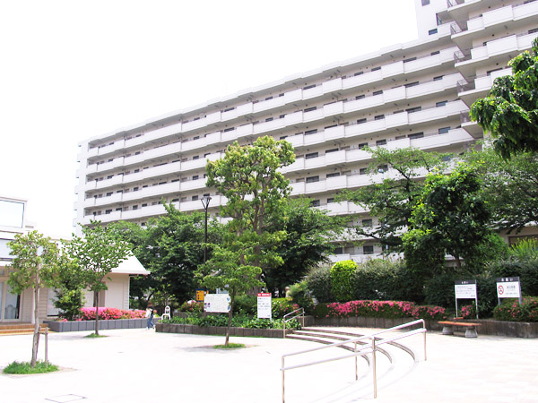 日高みなよ ぶら散歩