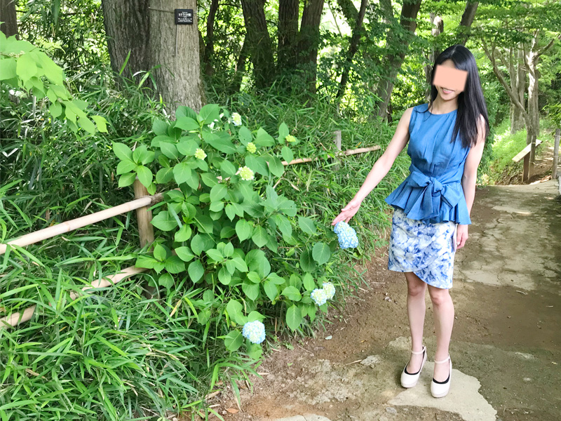 川崎市立日本民家園