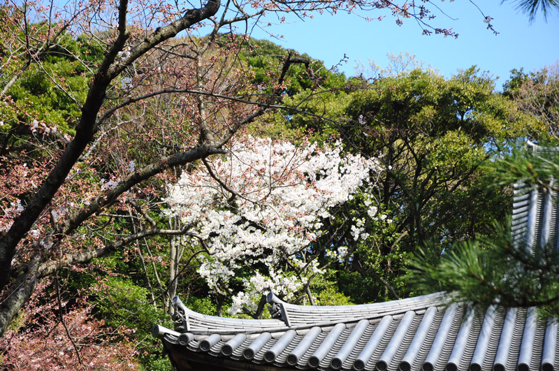 横浜風俗 すべりん棒