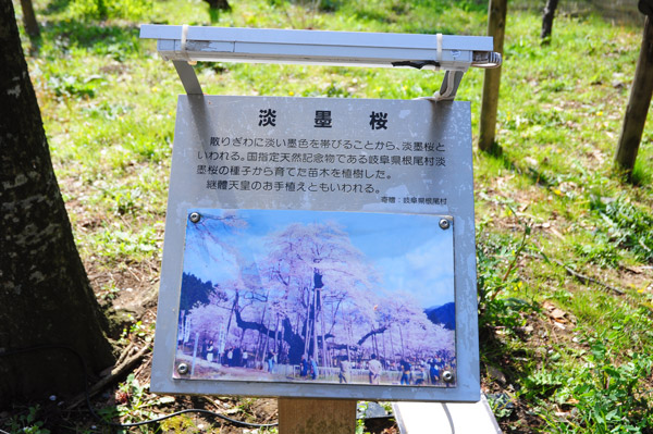 横浜風俗 すべりん棒