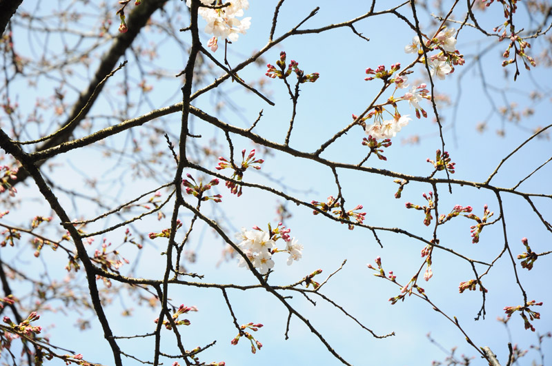 横浜風俗 すべりん棒