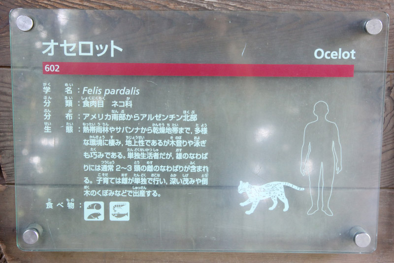 ズーラシア