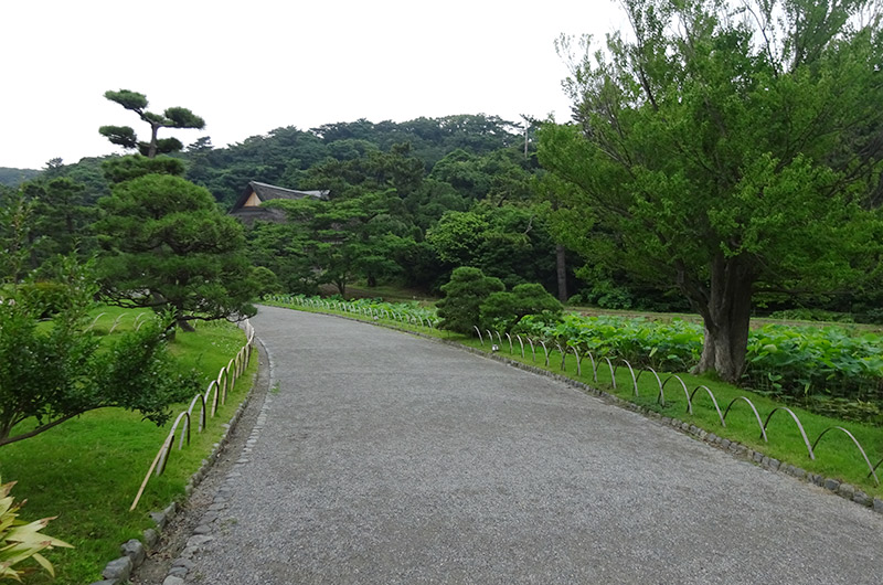 三渓園