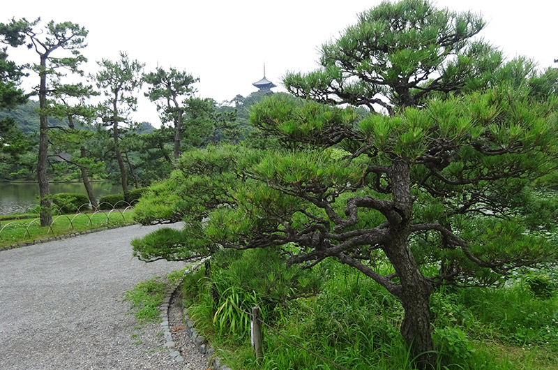 三渓園
