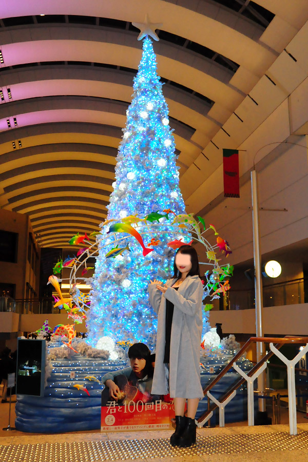 みなとみらい クリスマスイルミネーション