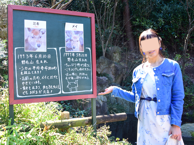 横浜市立野毛山動物園