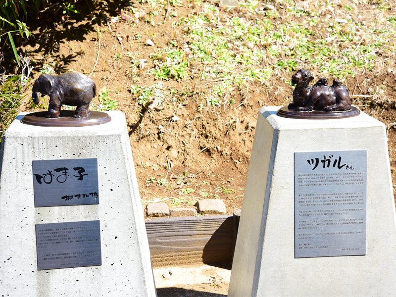 横浜市立野毛山動物園