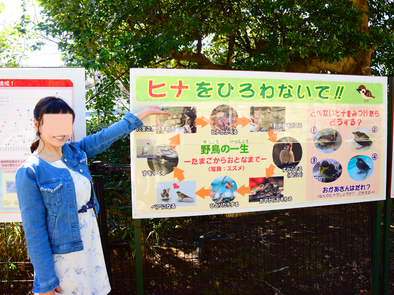 横浜市立野毛山動物園