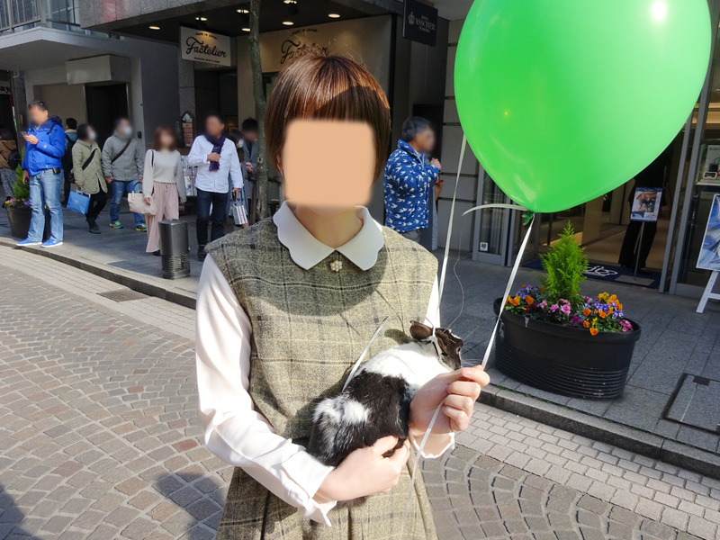 セントパトリックパレード横浜元町