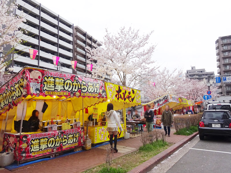 大岡川の桜花見