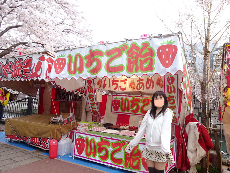 大岡川の桜花見