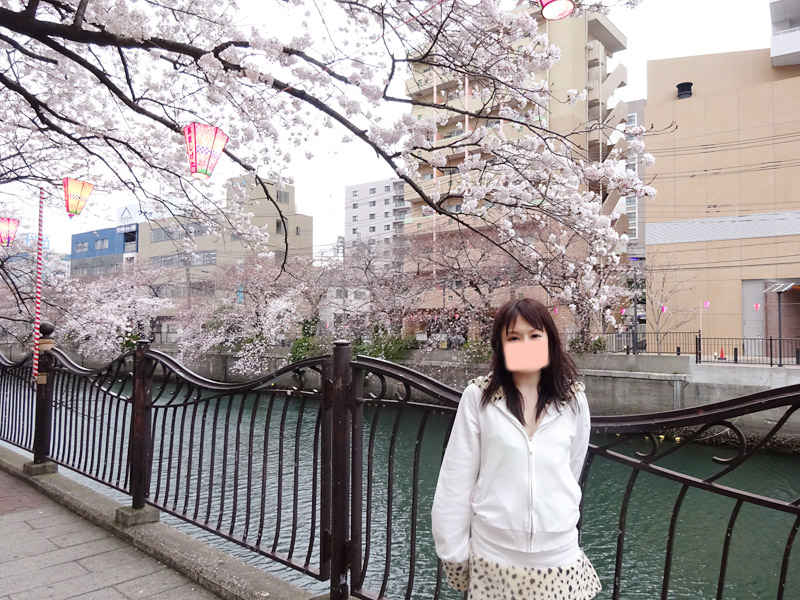 大岡川の桜花見