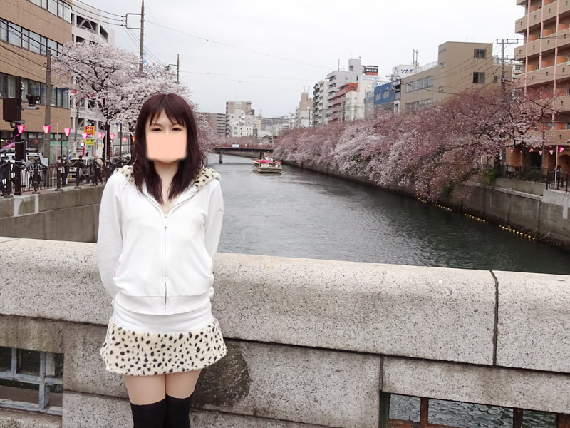 大岡川の桜花見
