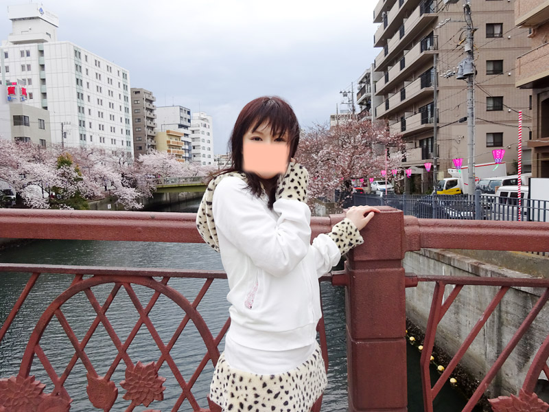 大岡川の桜花見