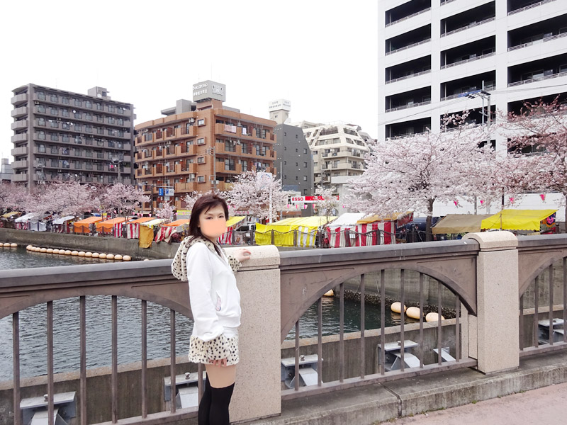 大岡川の桜花見