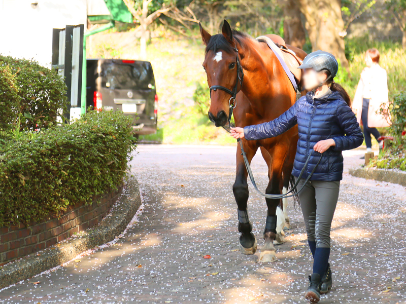 根岸森林公園