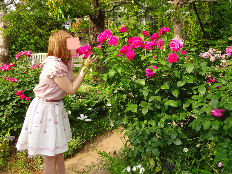 シャンプー娘。南ゆら イングリッシュガーデン