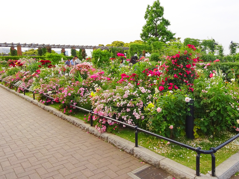 山下公園&パンケーキ