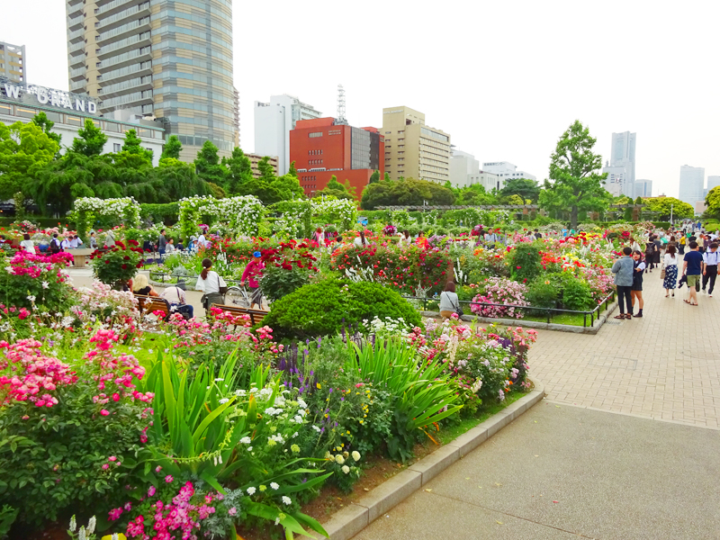 山下公園&パンケーキ