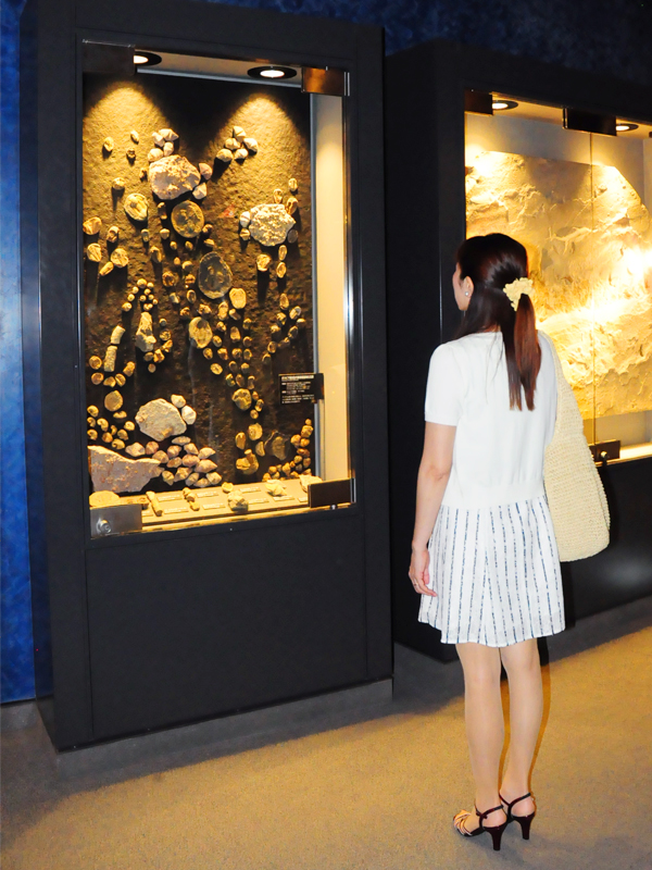 生命の星・地球博物館