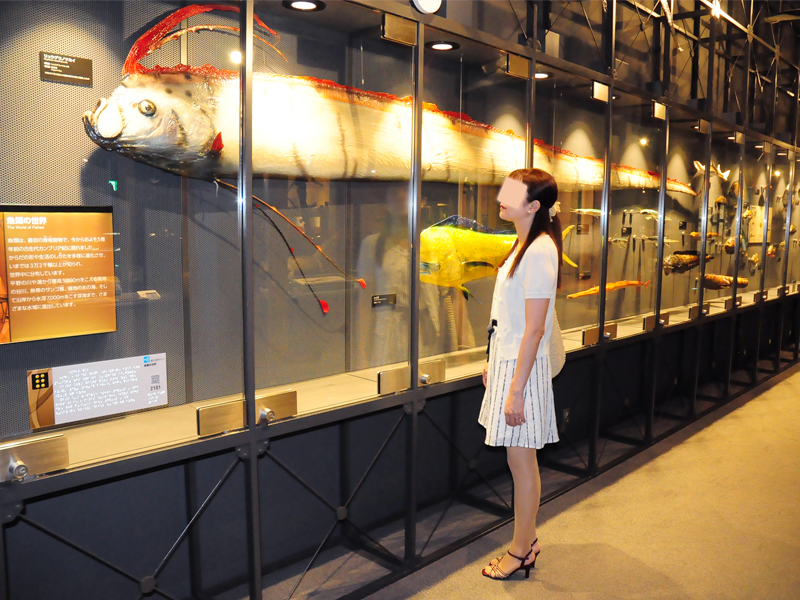生命の星・地球博物館