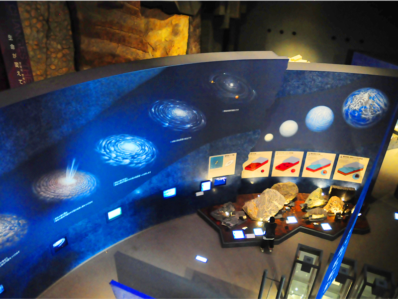 生命の星・地球博物館