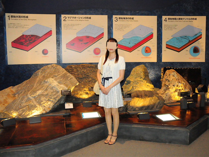 生命の星・地球博物館
