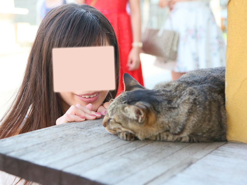 三崎まぐろ