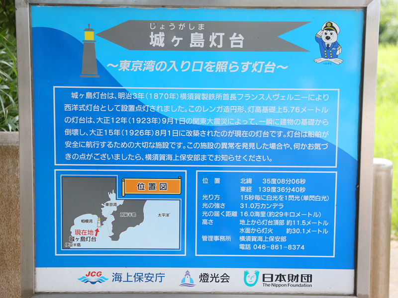 三崎まぐろ