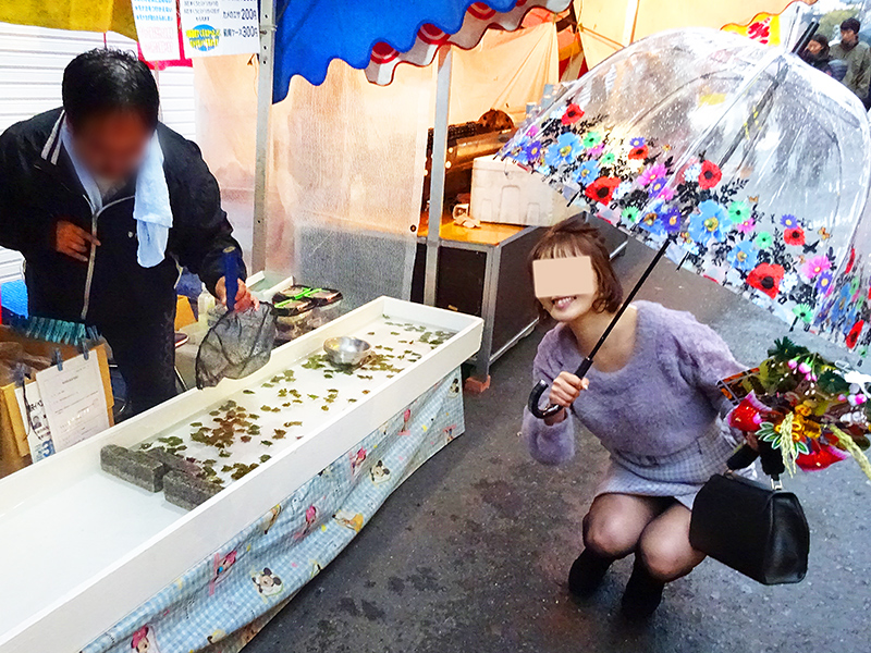 酉の市 二の酉