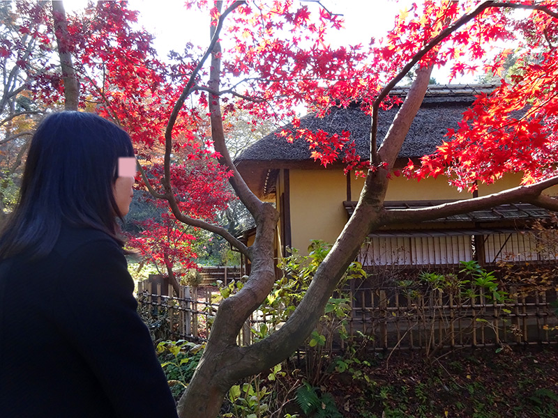 三渓園にぶら散歩♪