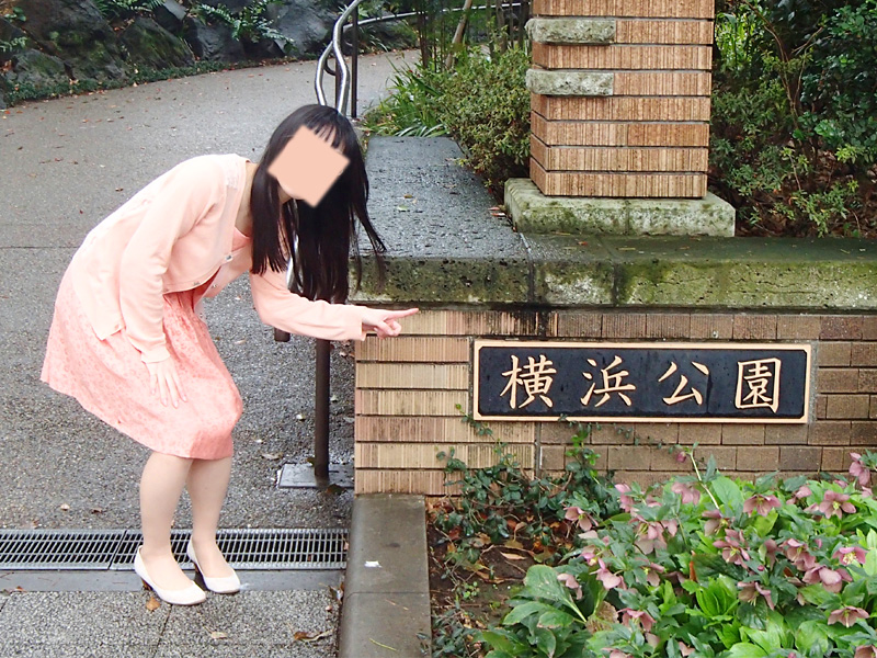 オープン戦が中止になったので横浜公園で小さな春を見つけて来た